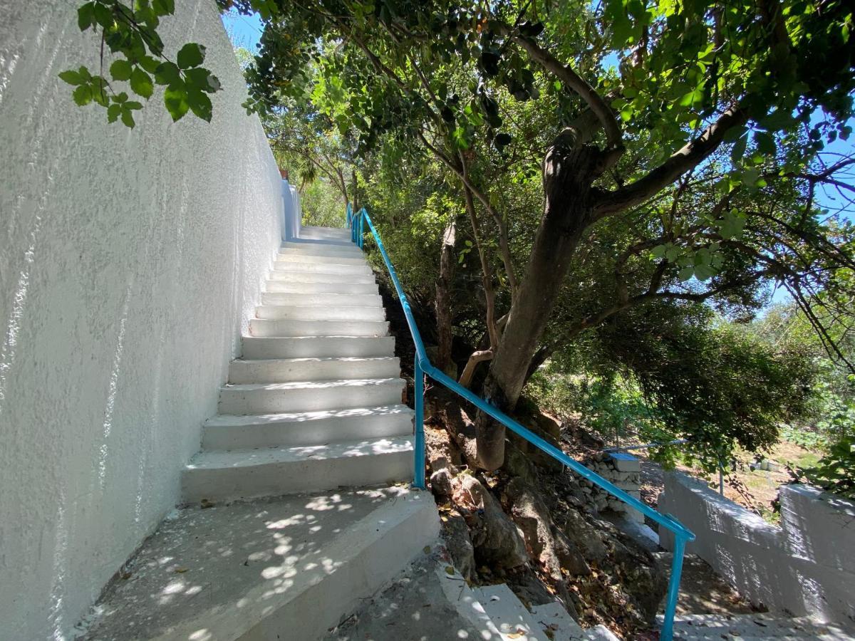 Oleander'S Garden Traditional Cretan Cottage Ferma Dış mekan fotoğraf