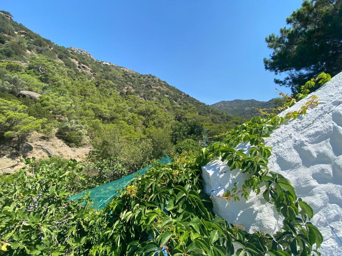 Oleander'S Garden Traditional Cretan Cottage Ferma Dış mekan fotoğraf