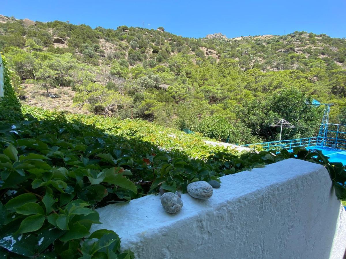 Oleander'S Garden Traditional Cretan Cottage Ferma Dış mekan fotoğraf