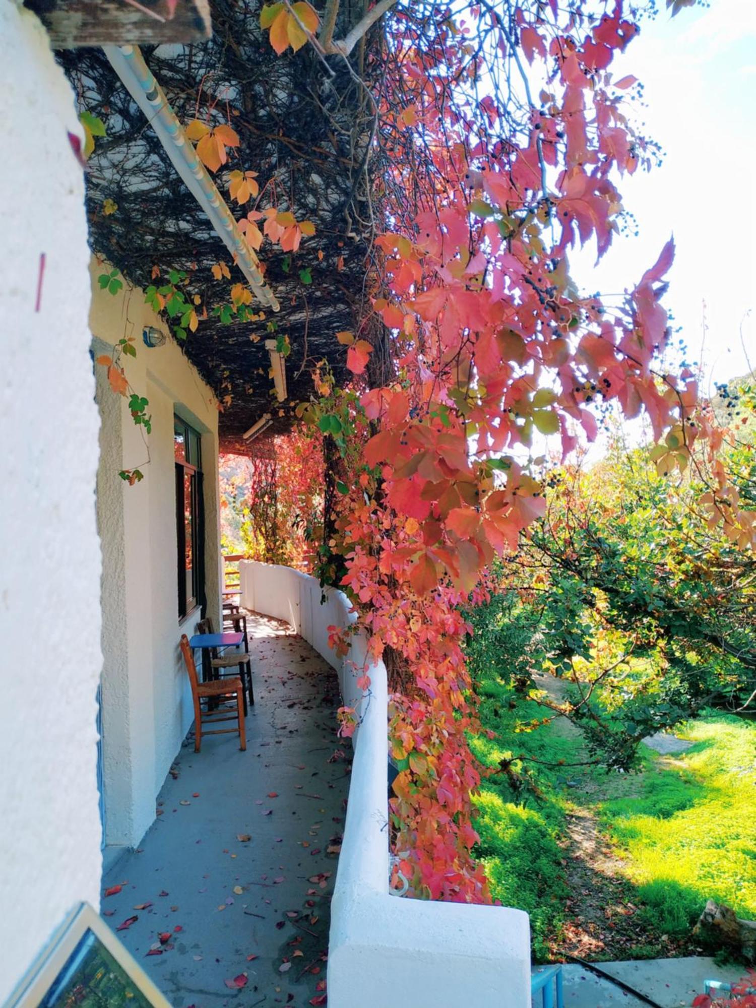 Oleander'S Garden Traditional Cretan Cottage Ferma Dış mekan fotoğraf