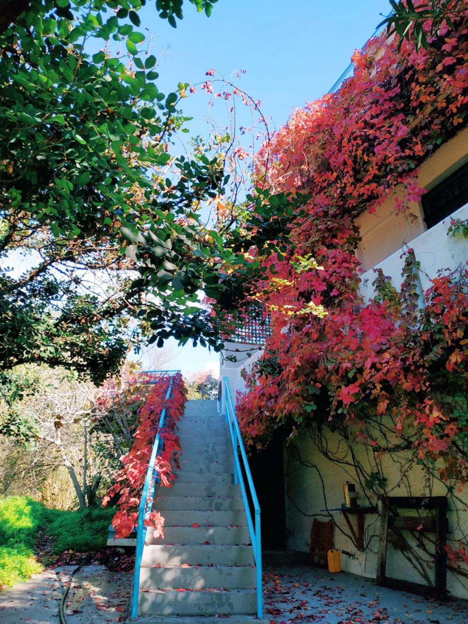 Oleander'S Garden Traditional Cretan Cottage Ferma Dış mekan fotoğraf