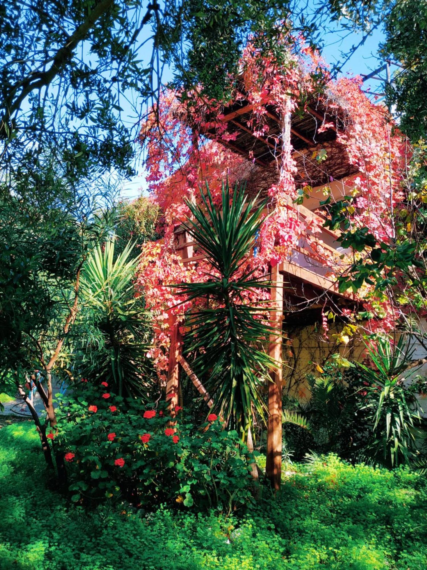 Oleander'S Garden Traditional Cretan Cottage Ferma Dış mekan fotoğraf