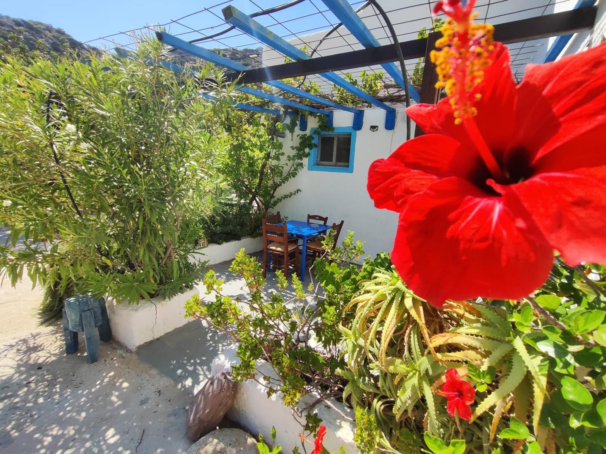 Oleander'S Garden Traditional Cretan Cottage Ferma Dış mekan fotoğraf