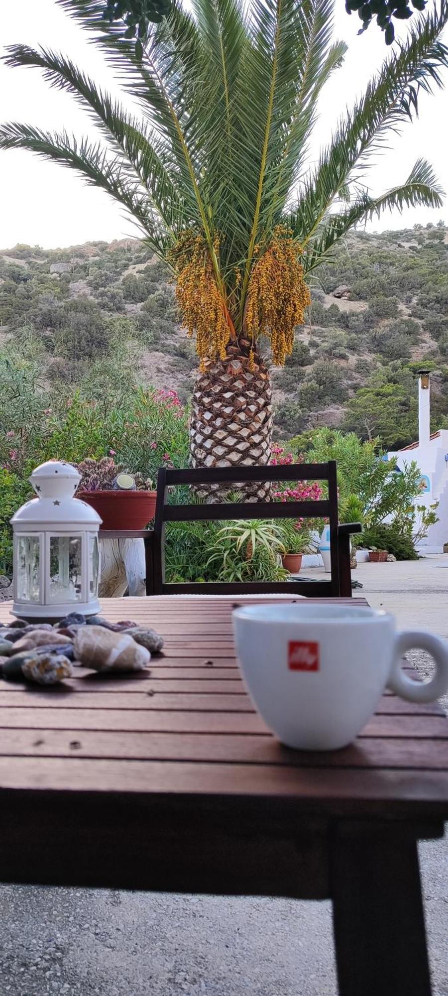 Oleander'S Garden Traditional Cretan Cottage Ferma Dış mekan fotoğraf